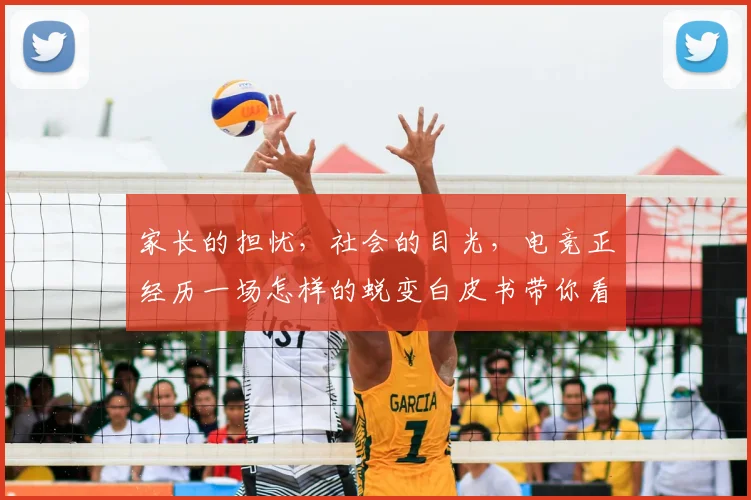 家长的担忧，社会的目光，电竞正经历一场怎样的蜕变白皮书带你看